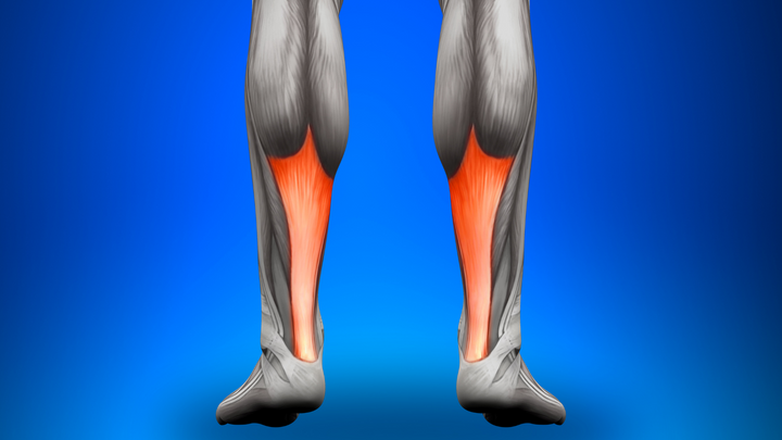 How to Decide When Not to Operate on Achilles Tendon Ruptures